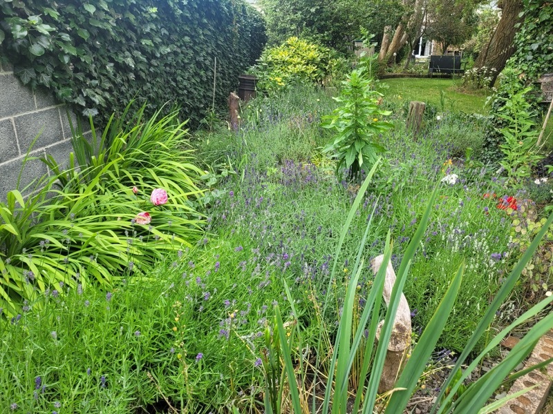 Other image for Emma’s walking in a wildlife wonderland